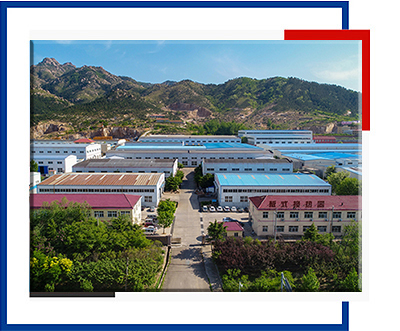 青島瑞普特 青島瑞普特